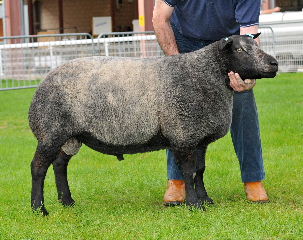 DJA/08/3542/O Millside