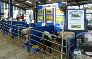 Millside stand at Northshep